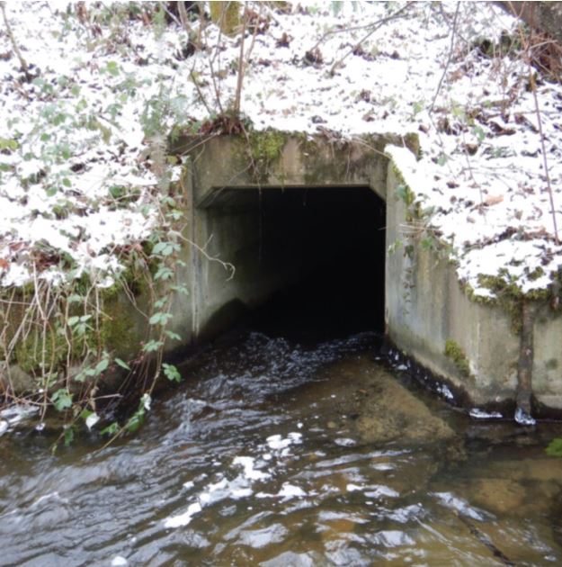 Before Padden Creek structure image