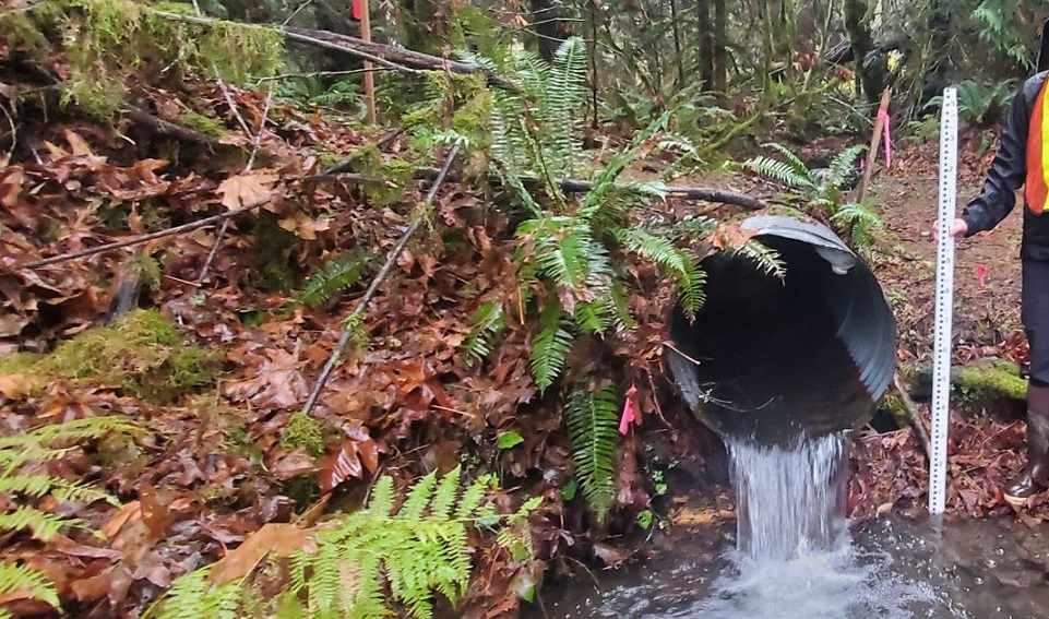 Outlet on private barrier below SR 20 improvement, before construction showing vertical drop that created a fish passage barrier.