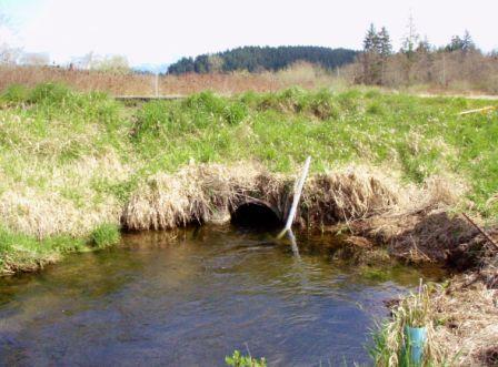 View of the old 2.5-foot diameter culvert on State Route 203 Langlois Creek, showing partial barrier to fish due to excessive velocities. 