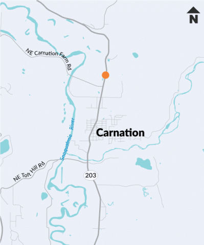 This map shows the location of a culvert that carries an unnamed tributary to Horseshoe Lake under SR 203 near Carnation.