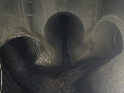 A photo of the interior of the culvert that carries Sunset Creek under I-90 near Bellevue