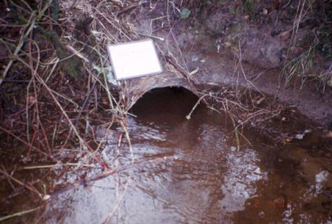 A photo of a culvert that carries an unnamed tributary to Horseshoe Lake under SR 203