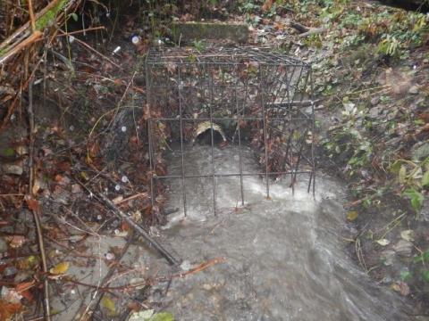 A photo of water moving through the current culvert at Barnes Creek. 