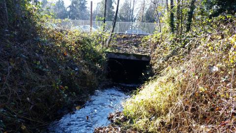 A photo of the existing culvert carrying Penny Creek under SR 527 in Mill Creek