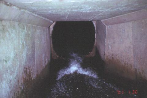 A photo showing the interior of the old culvert that carries Lewis Creek under I-90