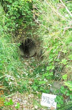 A photo of the culvert that carries an unnamed tributary to Jones Lake under SR 169, south of Black Diamond