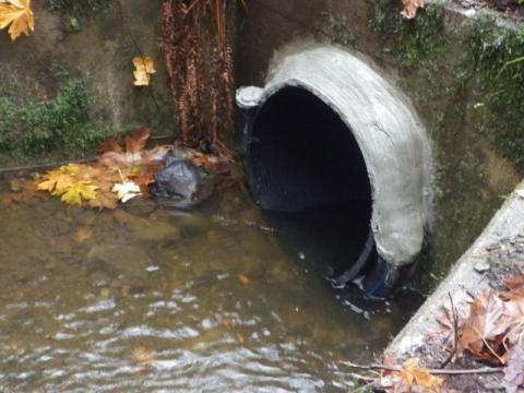 A photo of the culvert that carries West Village Park Creek under I-90 near Issaquah