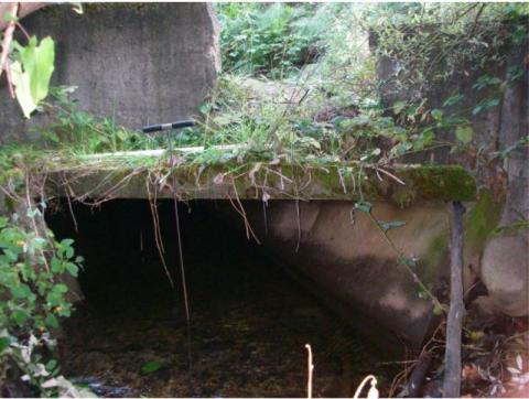 A photo showing the existing culvert that is too small and poses a barrier to fish.