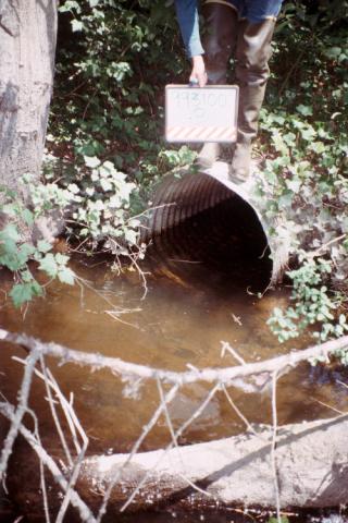 A photo showing the existing Martha Creek culvert under SR 524 that will be removed and replaced with a fish-passable structure.