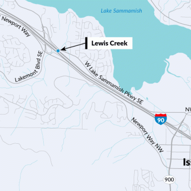 Lewis Creek fish passage site on I-90 near Issaquah.
