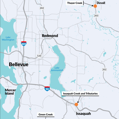 A map showing orange dots representing four sites to improve fish habitat on I-90 at Issaquah Creek and tributary, SR 202 at Little Bear Creek, SR 203 at Thayer Creek and SR 900 at Green Creek.