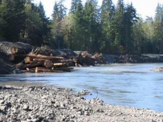 Photo of Hoh River Site1 with engineered logjams, looking downstream. Logjams are on left side of photo, river is on right side.