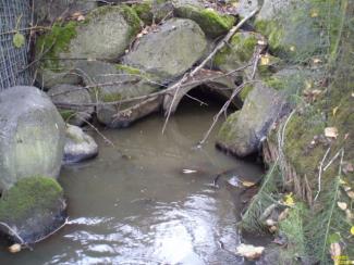 Photo of the current culvert at High School Creek. 