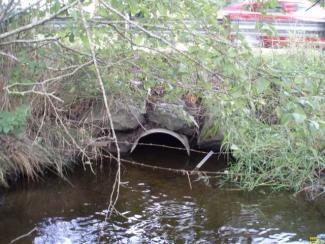 A photo of the current blocked culvert at the unnamed tributary. 