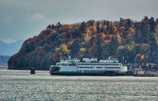 A white and green ferry sails on a body of water with an autumn scene of trees in the background