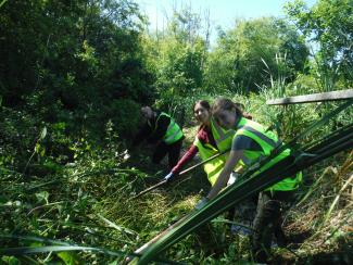 A group of volunteers pick litter and removed invasive nightshade in the Edmond's marsh vicinity