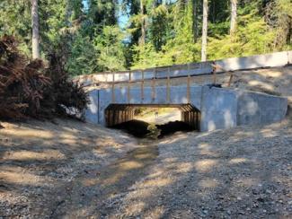 The photo shows the application of the SFZ on Little Minter Creek, SR 302 MP 11.44.