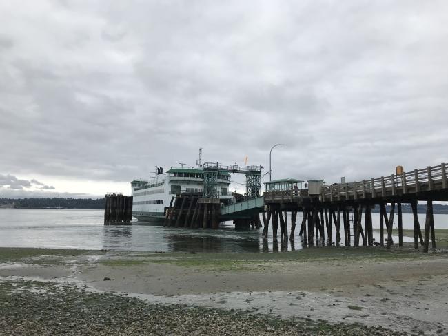 A blue and white ferry docked at a wooden pier at low tide.