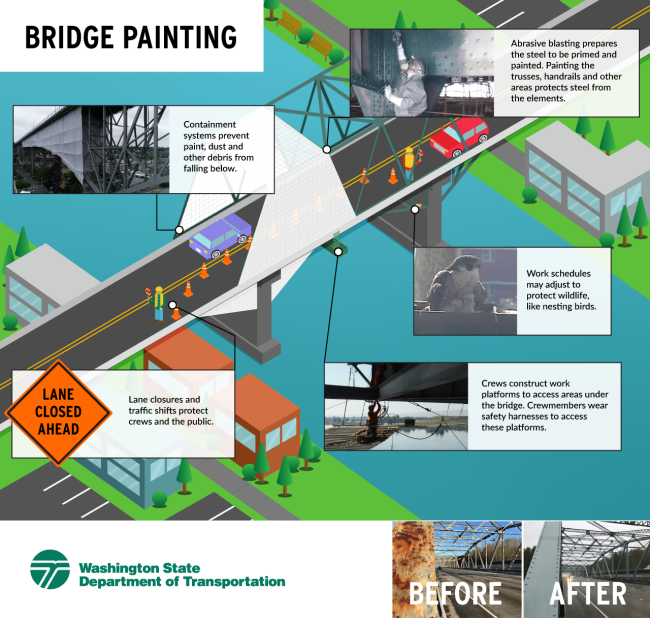 Graphic showing the work done in painting bridges, including: containment, preparing steel, lane closures, the use of platforms, and adjusting work around wildlife.