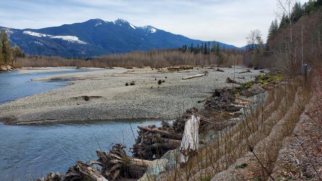 A log and rock toe and bioengineered streambank along SR 530 and the Sauk River absorbs energy from high river flows, protects the bank from erosion, and provides habitat complexity and cover for fish. March 2021.