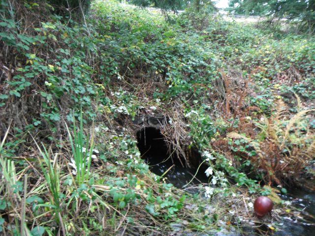 A photo showing the existing culvert that transports debris from upstream and poses a barrier to fish.