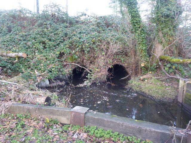 A photo showing the existing culvert is disrupted by sediment and poses a barrier to fish.