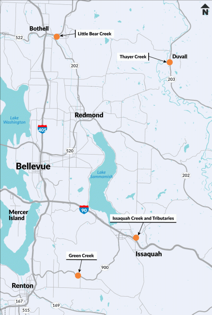 A map showing the five other sites to improve fish habitat on I-90 at Issaquah Creek and tributary, SR 202 at Little Bear Creek, SR 203 at Thayer Creek and SR 900 at Green Creek.