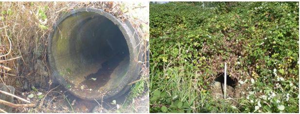 Two photos showing the culvert under SR 164 for Unnamed Tributary to Newaukum Creek.