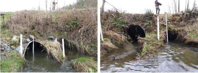 Two photos showing the existing culverts that pose a fish barrier.