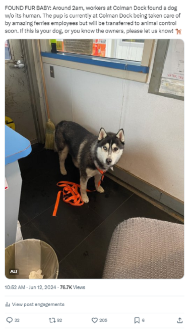 Screenshot of X/Twitter post about a lost dog found at Seattle's Colman Dock