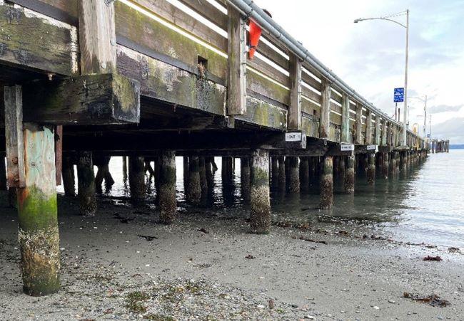 View of a wooden pier extending over a sandy beach into the water, with visible algae on the supports