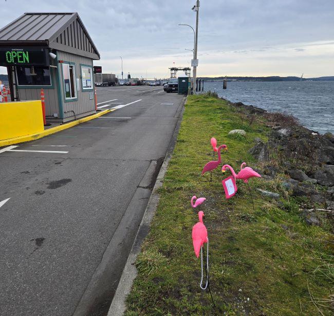 A roadside tollbooth with an "OPEN" sign beside a road and pink flamingos on grass along a waterfront