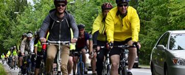 Commuters on bicycles heading to work next to cars on the road. 